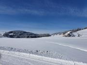 Top Titisee-Neustadt