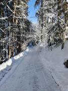 Top Titisee-Neustadt