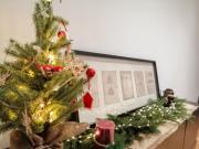 Top Jelenia Góra Top Jelenia Góra