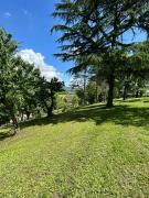 Top San Martino