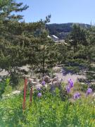 Top Gréolières les Neiges