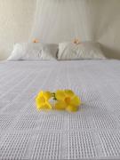 Top Santa Marta Top Santa Marta