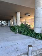 Top Cartagena de Indias