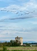 La Camargue Appartment mit Pool