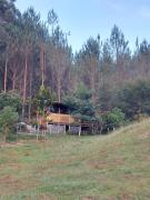 Top San Vicente Top San Vicente