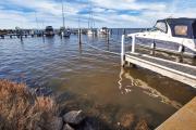Top Paynesville