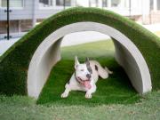 Dog Hotel Shirahama ドッグホテル シラハマ