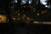 Treetop Glamps Treetop Glamps