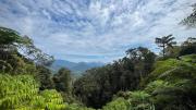 Top Bukit Fraser