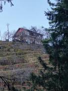 Top Nārkanda