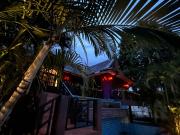 Purple House - Female only Boutique hostel