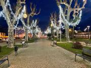 Top Miranda do Corvo