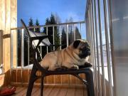 Sonnenalpe Nassfeld Allegra Joy