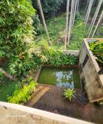 Top Nilambūr