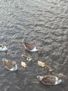 Casa Praia Guaratiba