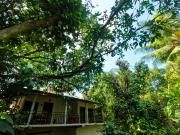Jungle Resort Home Stay
