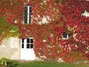 Top Ouzouer-sur-Trézée