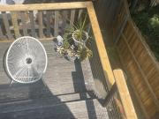 Violet Cottage in the City