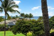 Top Waikoloa