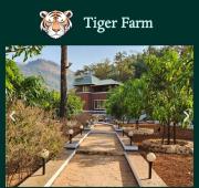 Tiger Farms
