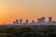 Top Tampa
