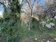 Tremythia Homes - Deluxe loft and 2-bed houses