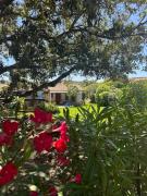 Cute Villa with pool in Palau