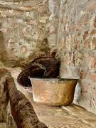 A Passo Lento nel Castello di Collepino - Spello