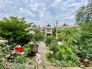 Top Chiang Mai