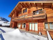 Chalet confortable au pied des pistes avec terrasse et parking - FR-1-292-222