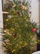 Top Lamego Top Lamego