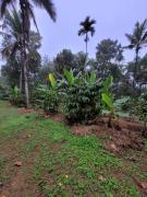 Top Meenangadi