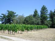 Top Saint-Magne-de-Castillon