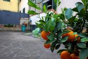 Top Florence