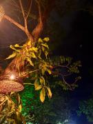 Suítes - Village Capixaba