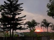 Top Yelagiri