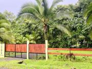 Top Guápiles
