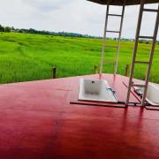 ชมนากฤษณา