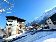 Top Les Houches