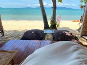 Cozy Beachfront Bungalow