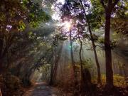 Top RÄmnagar Top RÄmnagar