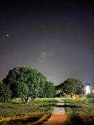 Top Hongashenhalli