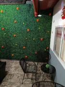 Casa Alianza Jalatlaco