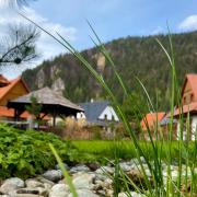 Zaži Izba Štandard Liptovská Osada