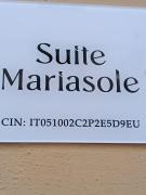 Top Arezzo