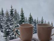 Kovacevic Apartmani Kovacevic Apartmani