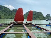 Top Ha Long