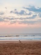 Sector 47 Beachfront