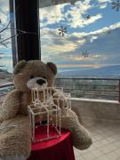 Top Roseto degli Abruzzi