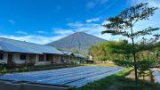 Top Sembalun Lawang